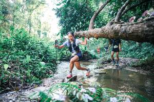 BIB: 
                            <button type="button" onclick="openModal(25433807)" class="btn btn-primary btn-sm float-right btn-popup" data-toggle="modal" data-target=".modal-high-quality">
                        <i class="fas fa-shopping-cart"></i> Add to Cart
                    </button>
                                            <button type="button" onclick="isThisMe(25433807, true)" class="btn btn-success btn-sm float-right btn-popup btn-isme hidden" data-toggle="tooltip" data-placement="bottom" title="นี่คือรูปของคุณใช่ไหม คลิกที่นี่เพื่อเอาเข้าอัลบั้ม">
                        <i class="fas fa-plus"></i> Add to album
                    </button>
                    <button type="button" onclick="isThisMe(25433807, false)" class="btn btn-warning btn-sm float-right btn-popup btn-isnotme hidden">
                        <i class="fas fa-ban"></i> Remove from album
                    </button>